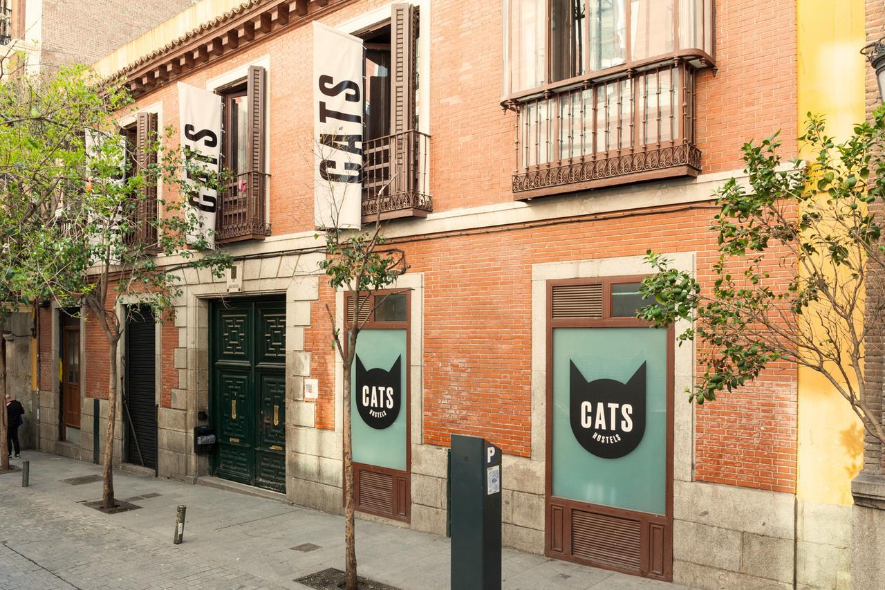 Hostel Cats Sol Madrid